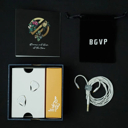 BGVP Scale 2DD HiFi Wired Earphones In Ear Monitor Headphones with 6D Sound Effects, Gaming Headset, Bass Stereo Earbuds with Detachable Cable