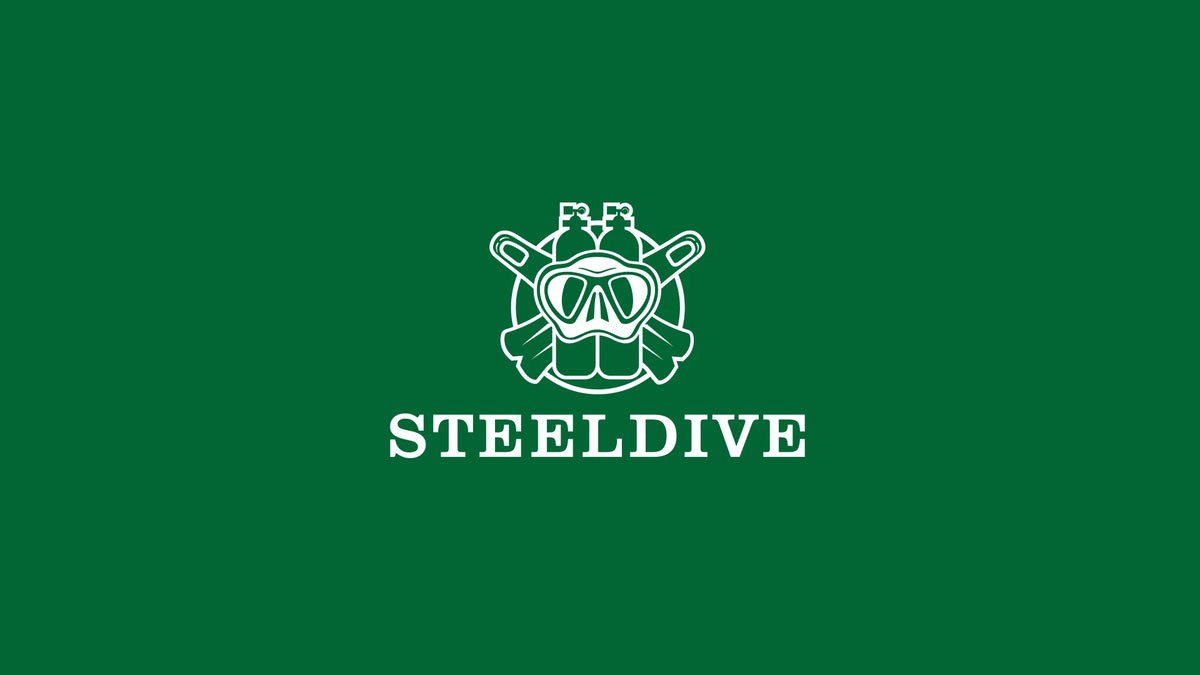 SD1970 New Arrival STEELDIVE Brand 20ATM Water Resistant Ceramic Bezel Insert Sapphire Glass NH35 Automatic Watch 6105 Turtle