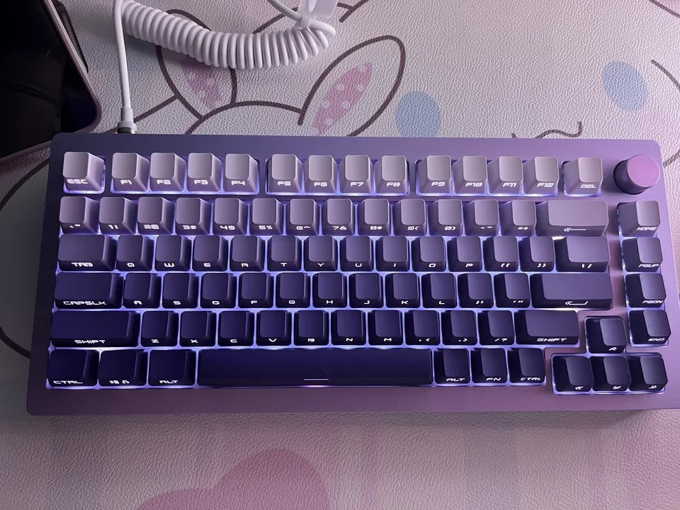 Gradient Keycaps Side Printed PBT Double Shot OEM Profile Keycap For Cherry MX Switch Mechanical Keyboard ISO Enter Key Caps DIY
