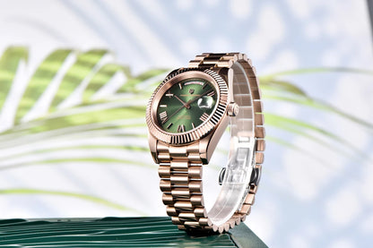 2025 New PAGANI DESIGN Men's Watch DD36 Rose Gold Luxury Automatic Watch For Men Mechanical Wristwatches Sapphire Mirror Clock