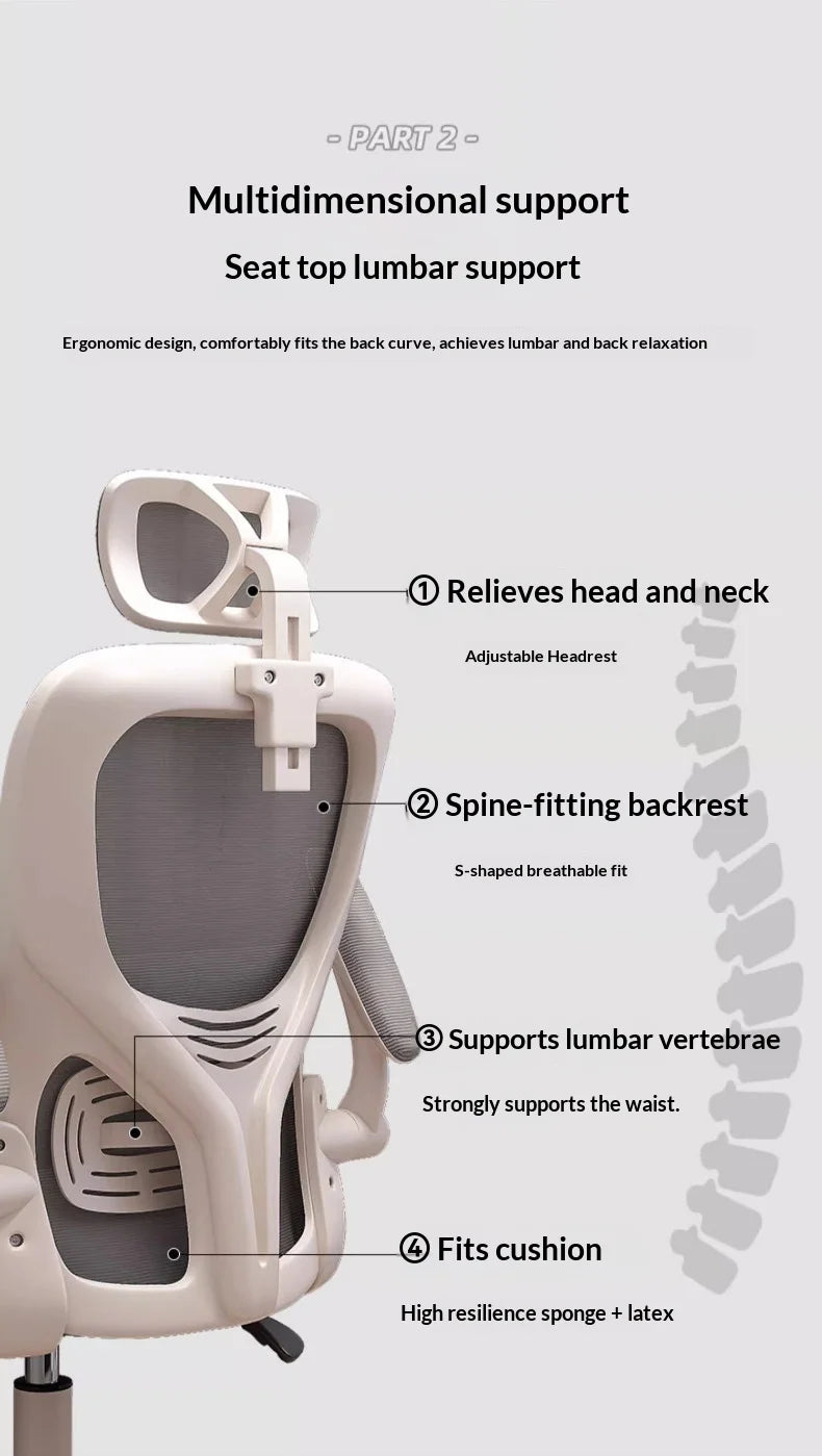 Ergonomic Office Chair with Adjustable Lumbar Support, Mesh High Back, Reclining Swivel Computer Desk Chair with Adjustable Armrests for Home Office & Gaming