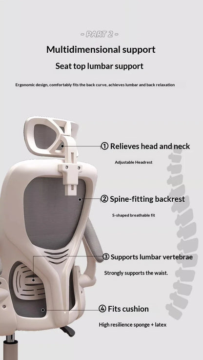 Ergonomic Office Chair with Adjustable Lumbar Support, Mesh High Back, Reclining Swivel Computer Desk Chair with Adjustable Armrests for Home Office & Gaming