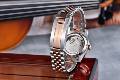 PAGANI DESIGN Luxury Men Watch Sapphire mirror Luminous Stainless Steel Watch Week Date Mechanical Waterproof ST16 Man watch