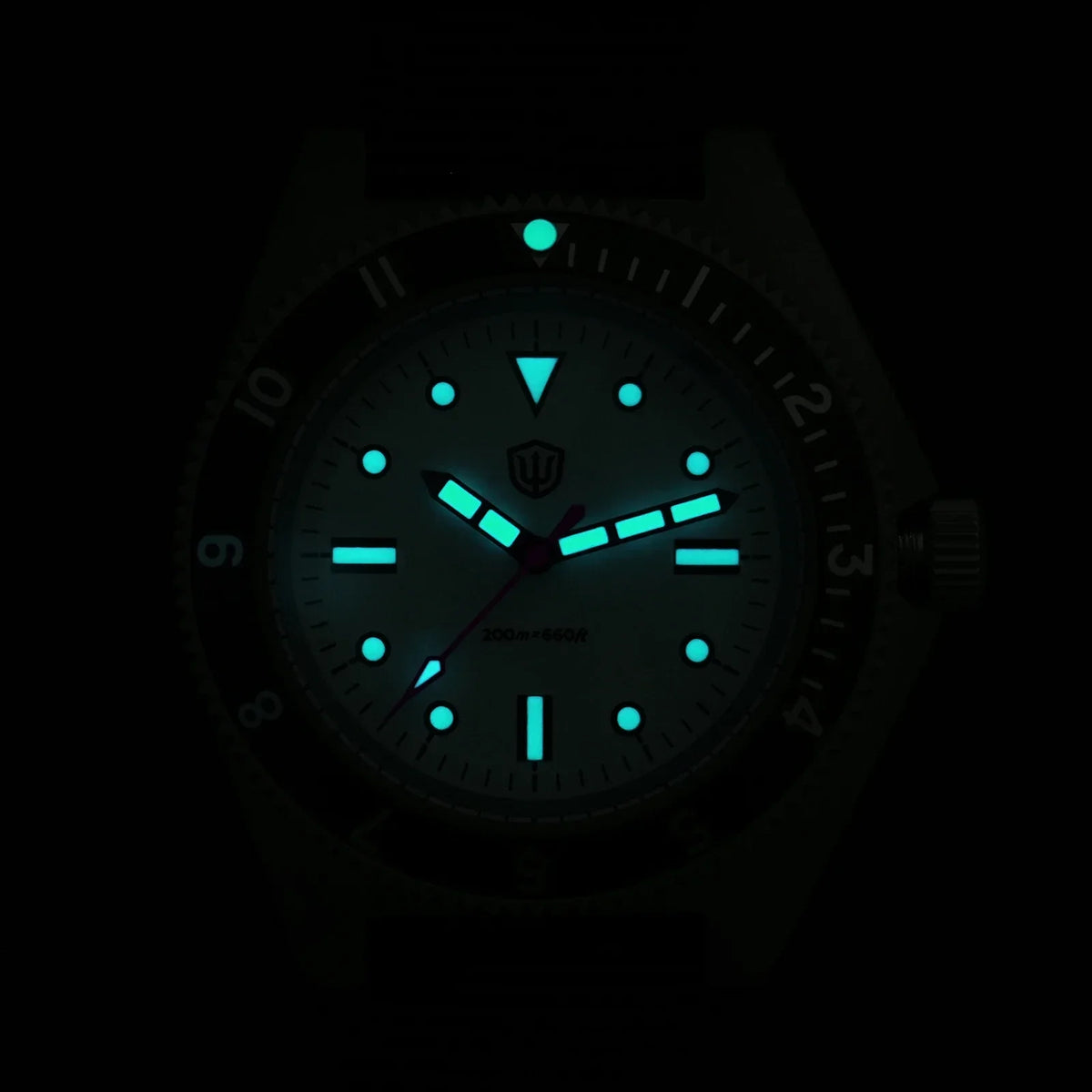Watchdives WD1972 Quartz Watch VH31 Sweep Seconds Movement Sapphire Crystal BGW9 Luminous 20Bar Waterproof Vintage Men Watches