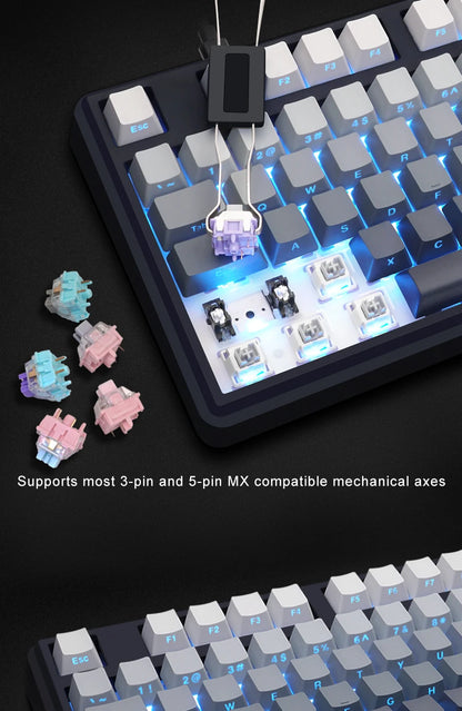 Teclado mecánico inalámbrico SKYLOONG GK104 Pro 100% personalizado, teclado con interruptores intercambiables en caliente de bajo ruido para PC gamer y accesorios de oficina