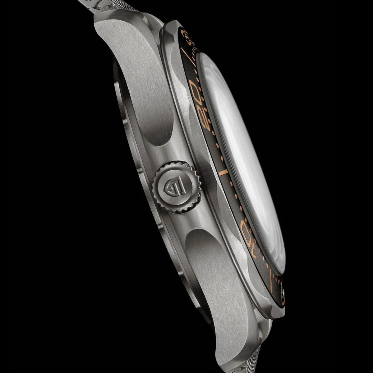PAGANI DESIGN Men Watches 2026 New 007 Retro Luxury Automatic Watch For Men Mechanical Wristwatch Men Stainless steel Waterproof