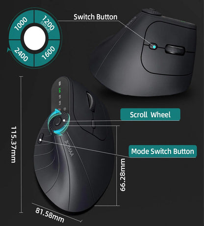 Ergonomic 2.4GHz Wireless BT RGB Mouse Dual Mode Laptop Desktop Office Silent Wireless Vertical Gaming Mouse