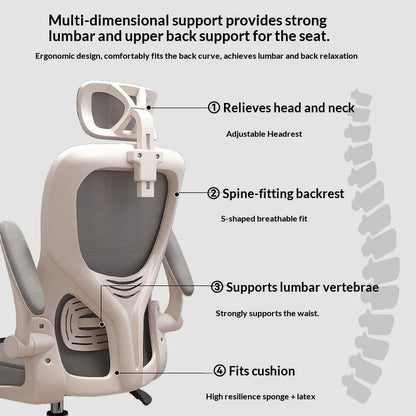 Ergonomic Office Chair with Adjustable Lumbar Support, Mesh High Back, Reclining Swivel Computer Desk Chair with Adjustable Armrests for Home Office & Gaming