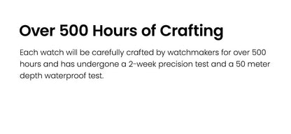 AGELOCER Original Budapest Watch Steel Strap Men's Business Dress Big Calendar Automatic Mechanical Watch Birthday Gift for Men