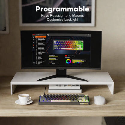 Royal Kludge RK R65 Brazilian Portuguese Mechanical Keyboard Gasket Wired Hot-swappable 66 Key 65% RGB Backlit Gamer Keyboard