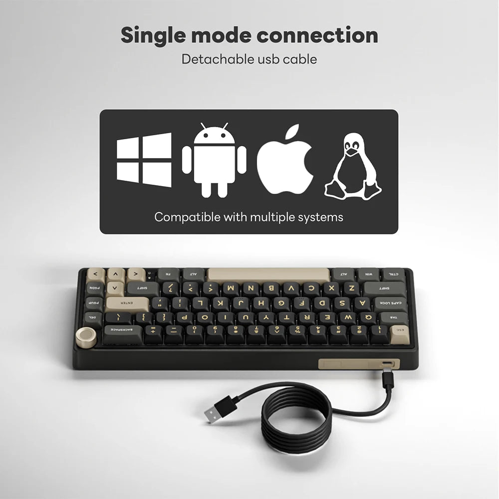 Royal Kludge RK R65 Brazilian Portuguese Mechanical Keyboard Gasket Wired Hot-swappable 66 Key 65% RGB Backlit Gamer Keyboard