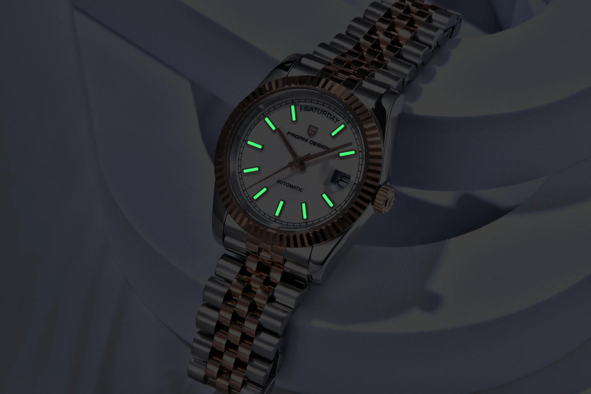 PAGANI DESIGN Luxury Men Watch Sapphire mirror Luminous Stainless Steel Watch Week Date Mechanical Waterproof ST16 Man watch