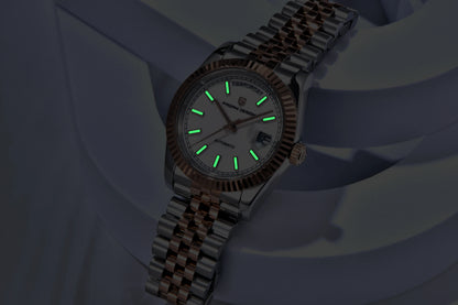 PAGANI DESIGN Luxury Men Watch Sapphire mirror Luminous Stainless Steel Watch Week Date Mechanical Waterproof ST16 Man watch