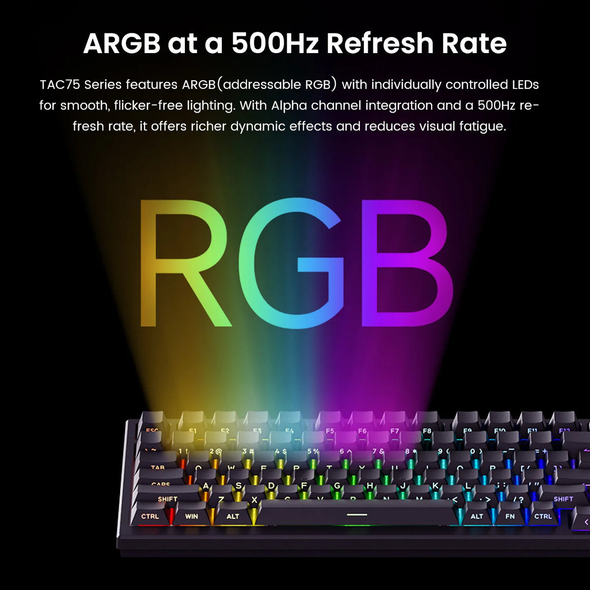 AKKO TAC75 HE Magnetic Switch Keyboard 75% Gaming Keyboard with Rapid Trigger, 8K Polling Rate, RGB Wired Custom Mechanical Keyboard for Esports