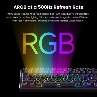 AKKO TAC75 HE Magnetic Switch Keyboard 75% Gaming Keyboard with Rapid Trigger, 8K Polling Rate, RGB Wired Custom Mechanical Keyboard for Esports