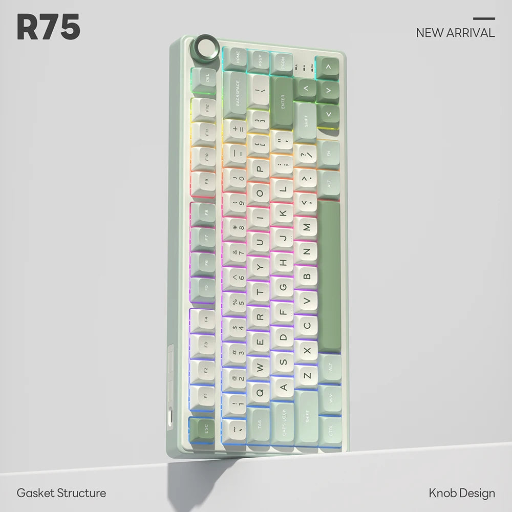 Royal Kludge RK R75 Brazilian Mechanical Keyboard Gasket Wired Gamer Keyboard  Hot-swappable 80 Keys RGB Backlit MDA PBT Keycaps