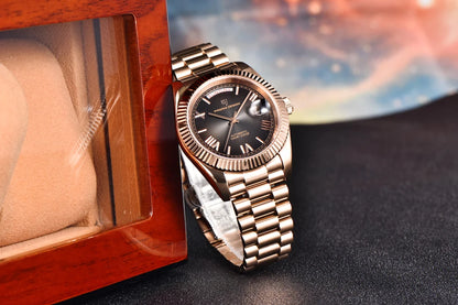2025 New PAGANI DESIGN Men's Watch DD36 Rose Gold Luxury Automatic Watch For Men Mechanical Wristwatches Sapphire Mirror Clock