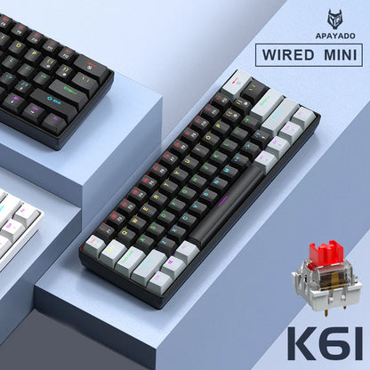 APAYADO K61 60% mini drátová herní mechanická klávesnice Phantom RGB, 61 kláves, červené/modré spínače, ergonomická, přenosná pro PC/notebook