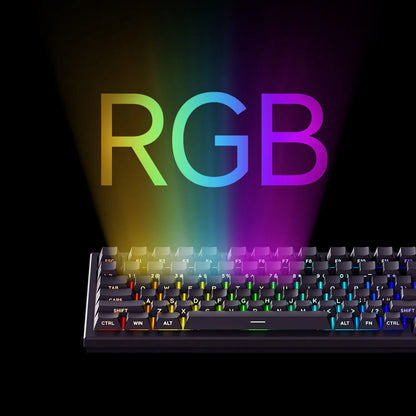 AKKO TAC75 HE Magnetic Switch Keyboard 75% Gaming Keyboard with Rapid Trigger, 8K Polling Rate, RGB Wired Custom Mechanical Keyboard for Esports