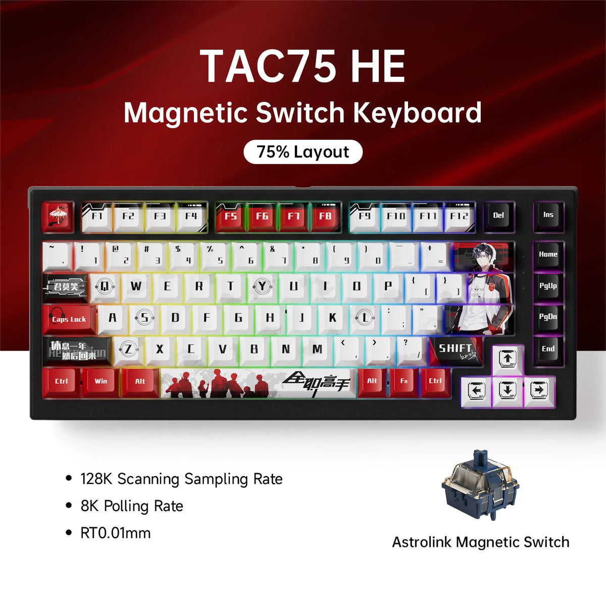 AKKO TAC75 HE Magnetic Switch Keyboard 75% Gaming Keyboard with Rapid Trigger, 8K Polling Rate, RGB Wired Custom Mechanical Keyboard for Esports